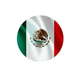 trabalho_internacional_mexico