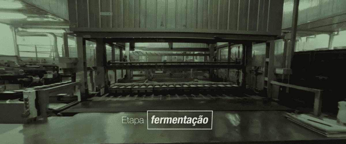 Video-em-360-graus-Fabrica-WickBold
