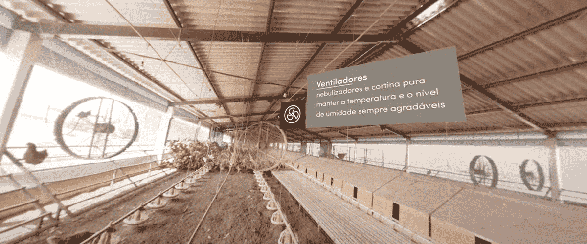 Video-em-360-graus-Fazenda-da-Toca