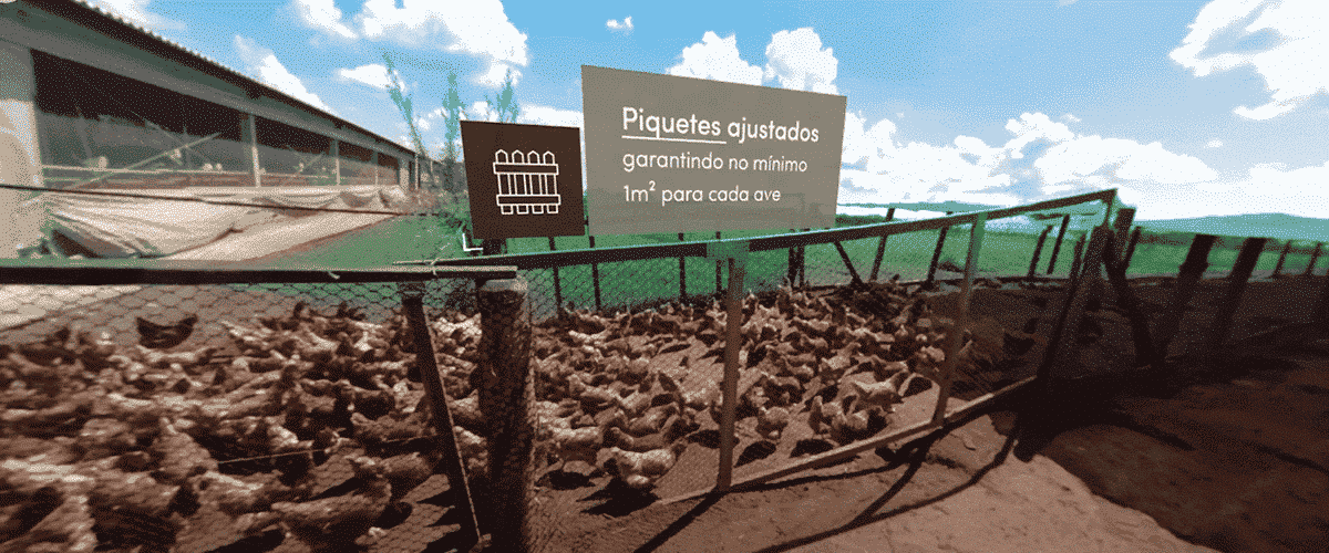 Video-em-360-graus-Fazenda-da-Toca