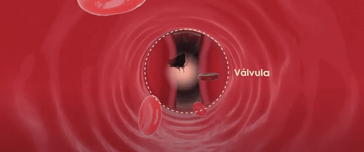 Video-em-Realidade-Virtual-Neoquimica
