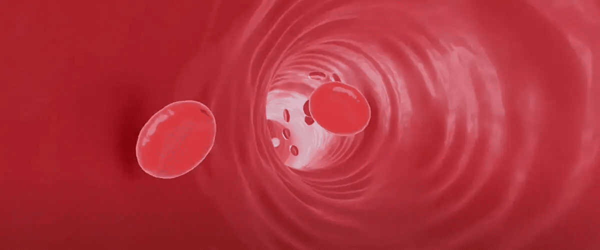 Video-em-Realidade-Virtual-Neoquimica