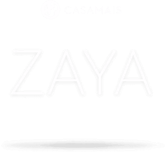 app_inteligencia_artificial_zaya