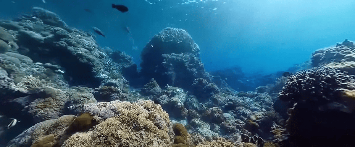 Video-em-360-graus-Natura