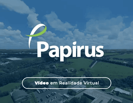 papirus video em realidade virtual